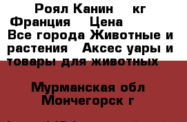  Роял Канин 20 кг Франция! › Цена ­ 3 520 - Все города Животные и растения » Аксесcуары и товары для животных   . Мурманская обл.,Мончегорск г.